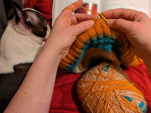 The Knit & Lit