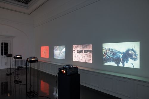 Vortrag von Magda Radu zu Stefan Bertalan und der Neo-Avantgarde-Szene in Rumänien der 1970er und 1980er Jahre [EN], Foto: Felix Grünschloß